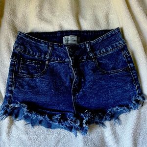 True Gypsy jean shorts✨